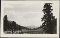 East from Continental Divide, Wolf Creek Pass, Colorado