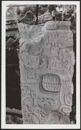 Cast of Great Turtle stella, Quirigua, Guatemala