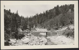 Decker's Creek, Wolf Creek Pass, Colorado