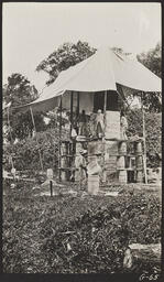 Creating glue molds of stellae at Quirigua, Guatemala